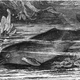 A 1927 illustration of the Indus river dolphin, one of two subspecies of Platanista gangetica. Image: Wikimedia